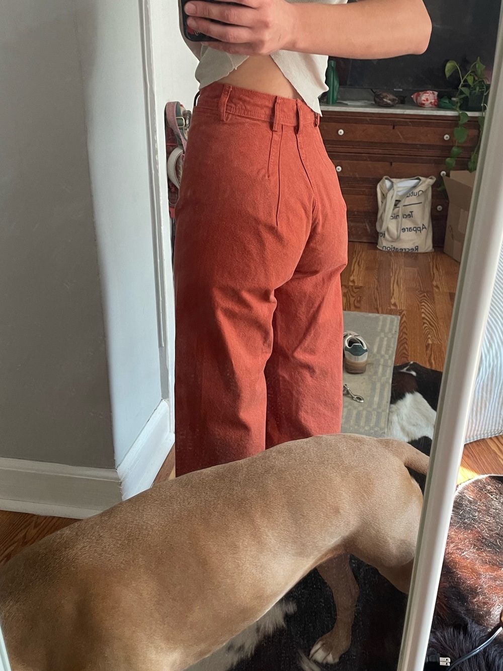 JESSE KAMM wide leg pant - Picture 15 of 16